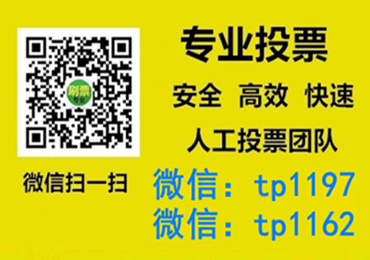 台东县微信手动投票费多少钱让我告诉你微信投了多少